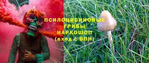 спиды Каменногорск