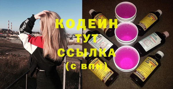 прущий лед Каменка