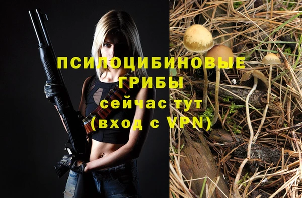прущий лед Каменка