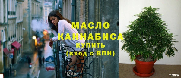 прущий лед Каменка