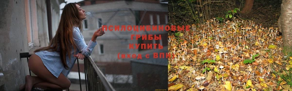 спиды Каменногорск