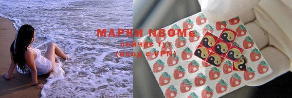 прущий лед Каменка